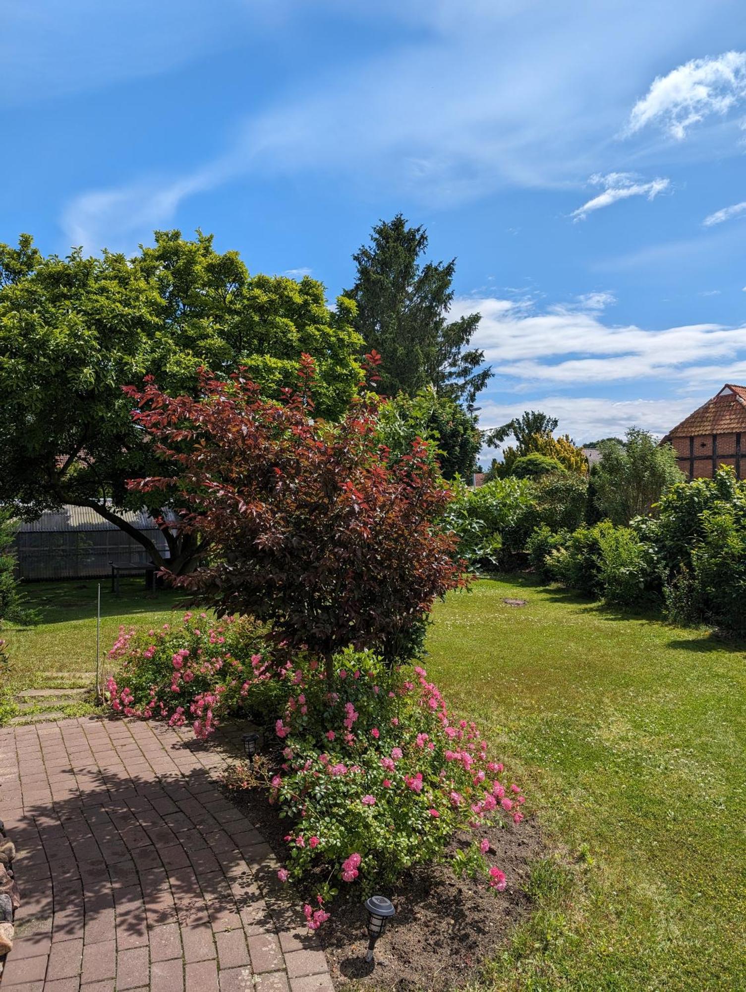 Ferienwohnung Bullersberg Balge Exterior photo